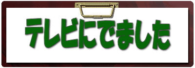 �e���r�ɂł܂���
